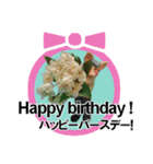 ほっこりざっくりお茶目な3Dぶたピグトン（個別スタンプ：24）