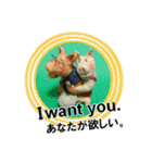 ほっこりざっくりお茶目な3Dぶたピグトン（個別スタンプ：26）