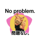 ほっこりざっくりお茶目な3Dぶたピグトン（個別スタンプ：29）