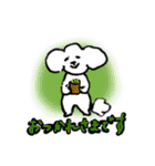 白いトイプードルのリオンくん（個別スタンプ：10）