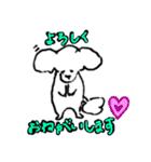 白いトイプードルのリオンくん（個別スタンプ：11）