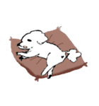 白いトイプードルのリオンくん（個別スタンプ：31）