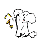 白いトイプードルのリオンくん（個別スタンプ：35）