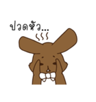 Pookpook Mecute Daily 1（個別スタンプ：15）