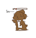 Pookpook Mecute Daily 1（個別スタンプ：22）