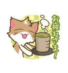 ＼ねこさんスタンプ／（個別スタンプ：6）