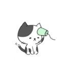 Longo（個別スタンプ：1）
