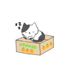 Longo（個別スタンプ：40）