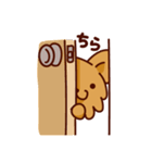モモちゃん 1（個別スタンプ：9）