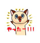 おしゃべりなシャム猫（個別スタンプ：1）