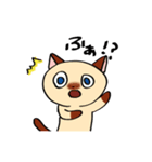おしゃべりなシャム猫（個別スタンプ：3）