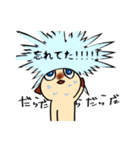 おしゃべりなシャム猫（個別スタンプ：5）