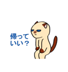 おしゃべりなシャム猫（個別スタンプ：8）