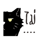Boy and the Cat（個別スタンプ：2）