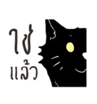 Boy and the Cat（個別スタンプ：18）