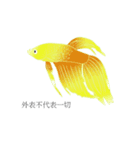 swimming fighting fish（個別スタンプ：1）