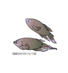 swimming fighting fish（個別スタンプ：2）