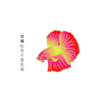 swimming fighting fish（個別スタンプ：3）