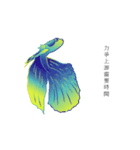 swimming fighting fish（個別スタンプ：4）