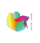 swimming fighting fish（個別スタンプ：8）
