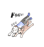 fankyfisherman（個別スタンプ：8）