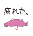 OくんとPくん（個別スタンプ：24）
