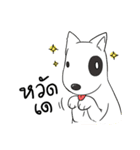 Look at dog（個別スタンプ：1）