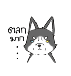 Look at dog（個別スタンプ：5）