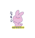 flash rabbit（個別スタンプ：12）