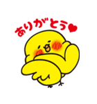 小鳥のひめちゃん（個別スタンプ：3）
