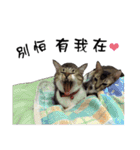 Cute cat na（個別スタンプ：28）