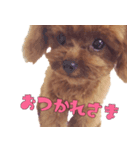 我が家の栗太郎くん（個別スタンプ：7）