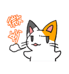 毒舌ネコと臆病うさぎ（個別スタンプ：1）