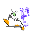 毒舌ネコと臆病うさぎ（個別スタンプ：5）