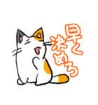 毒舌ネコと臆病うさぎ（個別スタンプ：13）