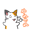 毒舌ネコと臆病うさぎ（個別スタンプ：17）