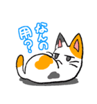 毒舌ネコと臆病うさぎ（個別スタンプ：23）