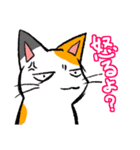 毒舌ネコと臆病うさぎ（個別スタンプ：27）