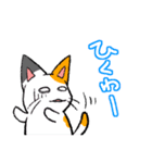 毒舌ネコと臆病うさぎ（個別スタンプ：29）
