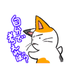 毒舌ネコと臆病うさぎ（個別スタンプ：31）