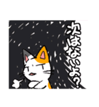 毒舌ネコと臆病うさぎ（個別スタンプ：35）