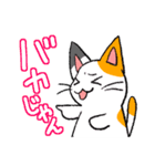 毒舌ネコと臆病うさぎ（個別スタンプ：37）