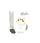 Life of Money Cat（個別スタンプ：1）