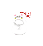 Life of Money Cat（個別スタンプ：3）