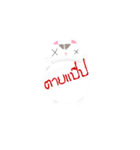 Life of Money Cat（個別スタンプ：4）