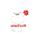 Life of Money Cat（個別スタンプ：14）