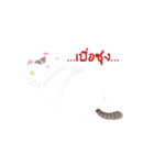 Life of Money Cat（個別スタンプ：15）
