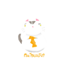 Life of Money Cat（個別スタンプ：19）