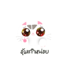 Life of Money Cat（個別スタンプ：22）