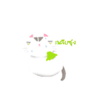 Life of Money Cat（個別スタンプ：23）